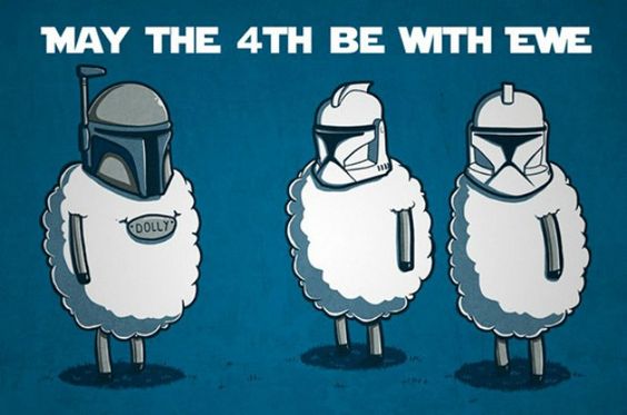 may the fourth be with ewe